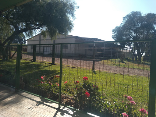 Melhores Hotéis Baratos Perto de Capão de Herança, Rio Grande do Sul 2025