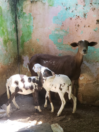 Melhores Hotéis Baratos Perto de Santa Rita da Floresta, Rio de Janeiro 2025