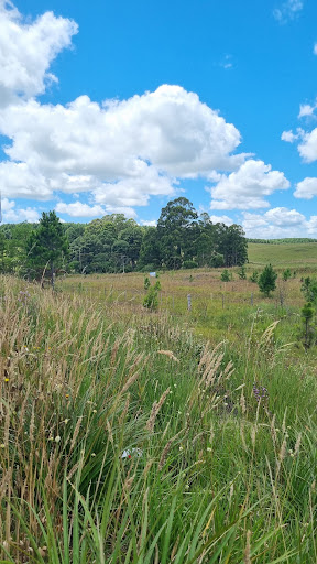 Melhores Hotéis Baratos Perto de Lajeado Grande, Rio Grande do Sul 2025