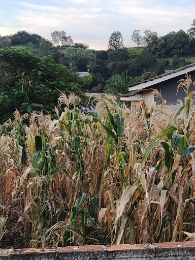 Melhores Hotéis Baratos Perto de Boa Vista Parecida, Paraná 2025