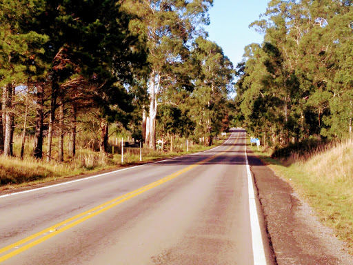Melhores Hotéis Baratos Perto de Várzea do Cedro, Rio Grande do Sul 2025